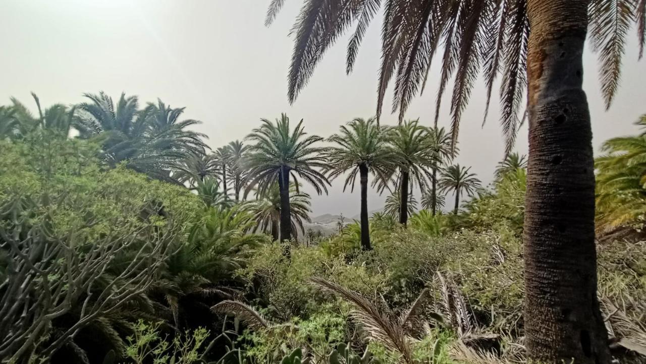 Alquilaencanarias Casa La Playa La Gomera Alojera Екстер'єр фото