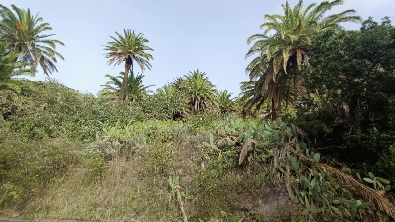 Alquilaencanarias Casa La Playa La Gomera Alojera Екстер'єр фото